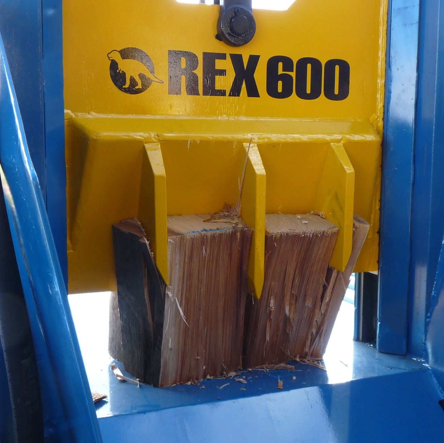 Rex 600